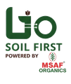 Bio 10 — Soil First